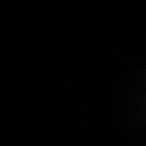 Meet your Posher, Sock monkey